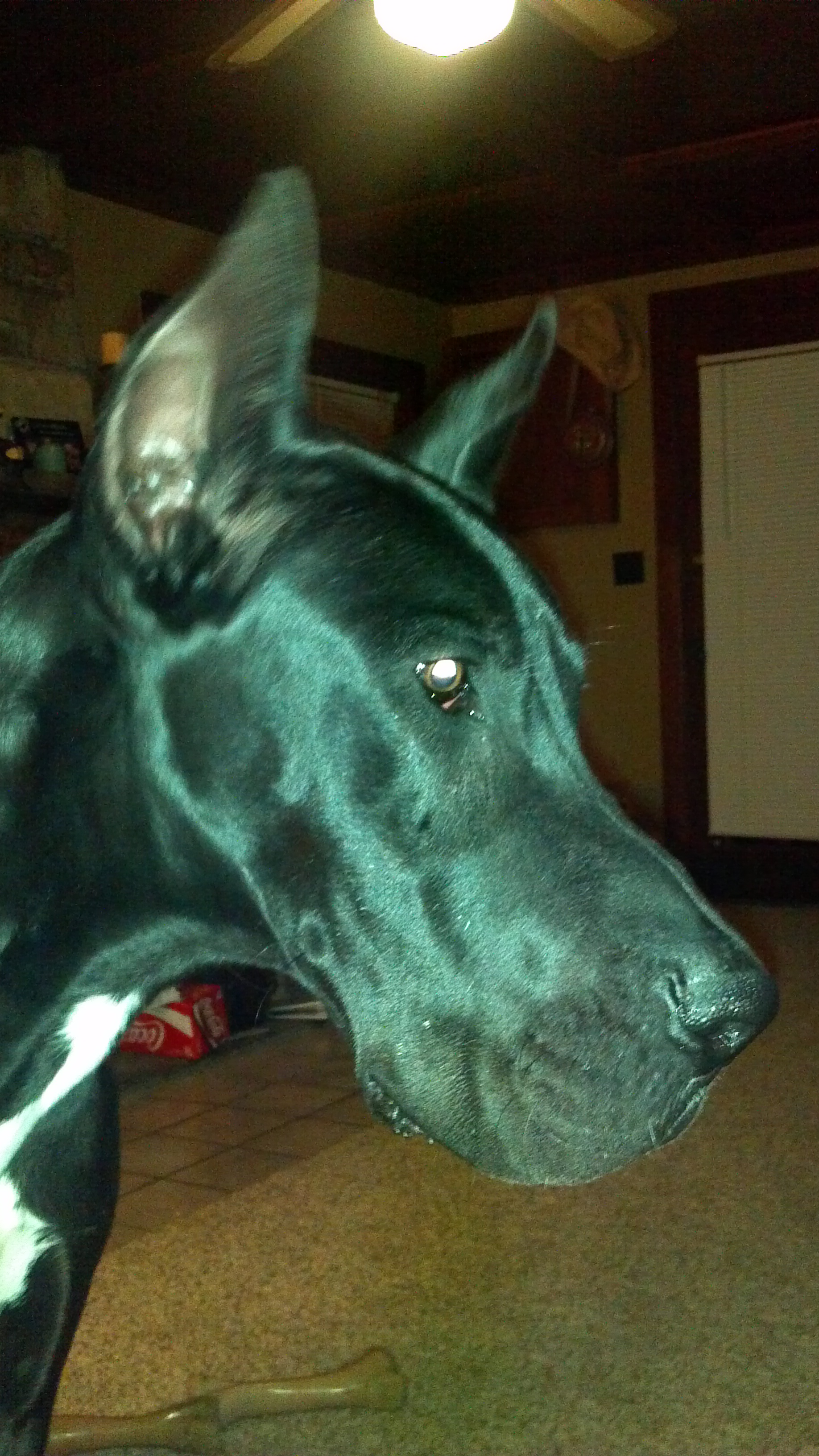 2012-02-14_21-26-46_107
